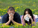 Экология окружающей нас среды ухудшает здоровье аллергетиков
